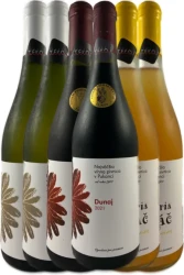 Najv��ia v�nna pivnica v Pukanci TOP set 1